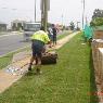 Award Turf Supplies - Pic 3