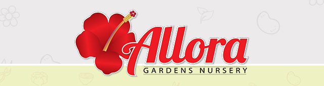 Allora Gardens Nursery - logo