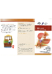 View PDF