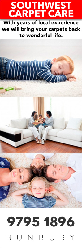 Southwest Carpet Care - Promotion