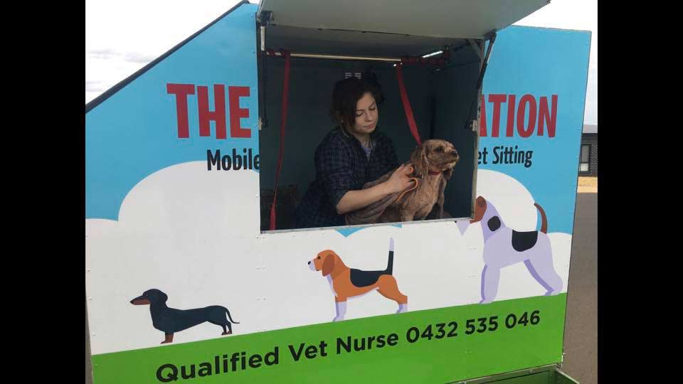Pawfectly Stunning Dog & Cat Clipping & Grooming North Tamworth