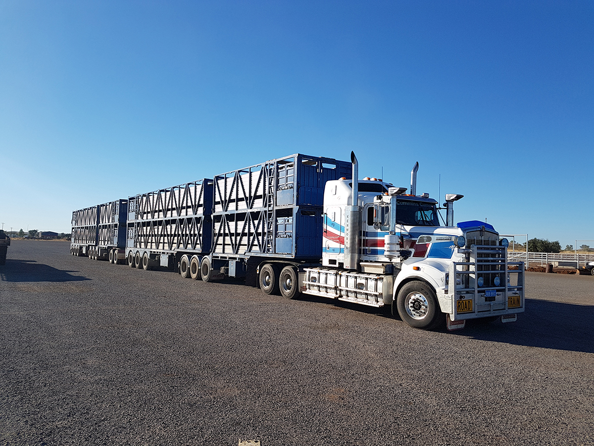 MSD Transport Pty Ltd Livestock Transport Services Gowrie Junction