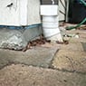 Systems Pest Management Pty Ltd - Pic 7