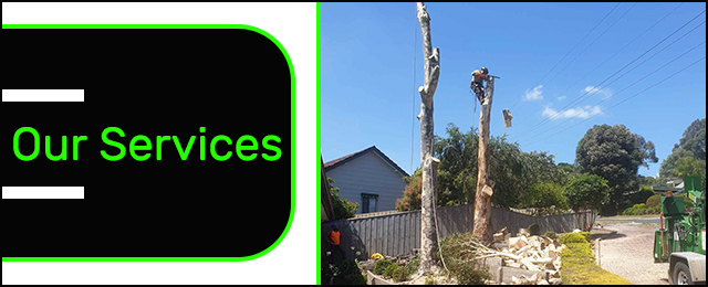 Rob's Tree Service - Promotion 3