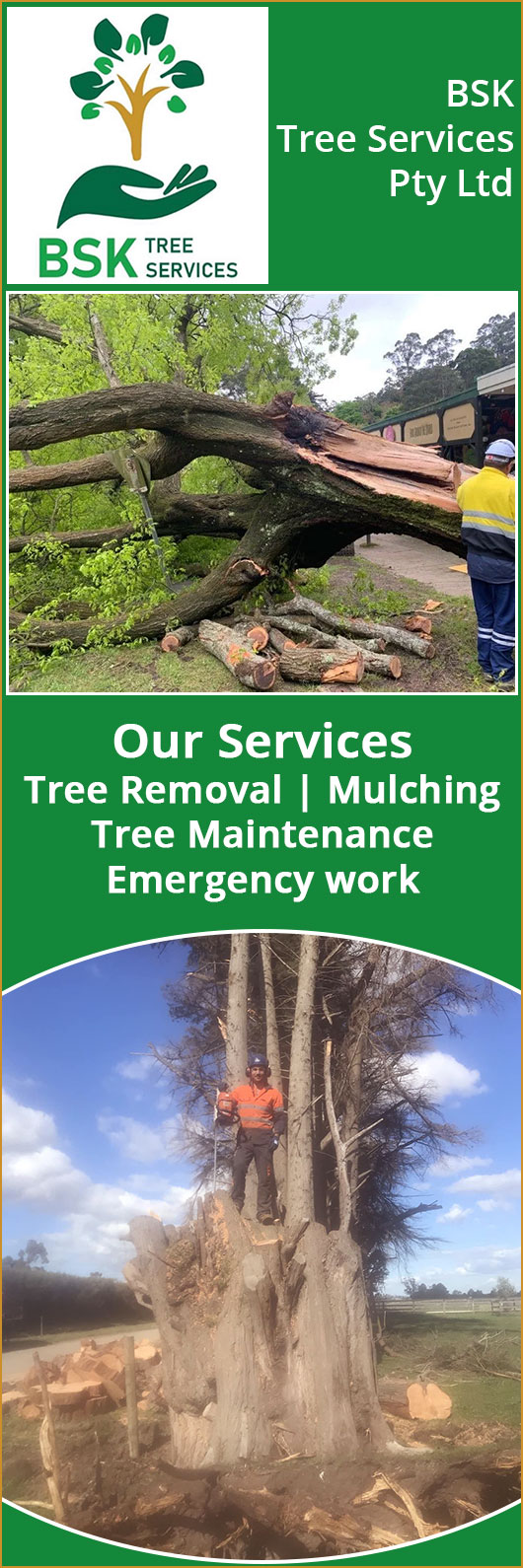 BSK Tree Services Pty Ltd - Promotion