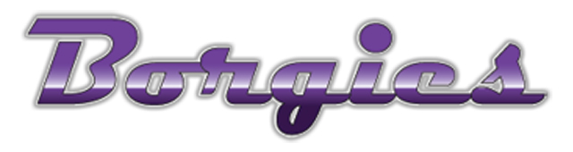 Borgies Auto Spares - logo