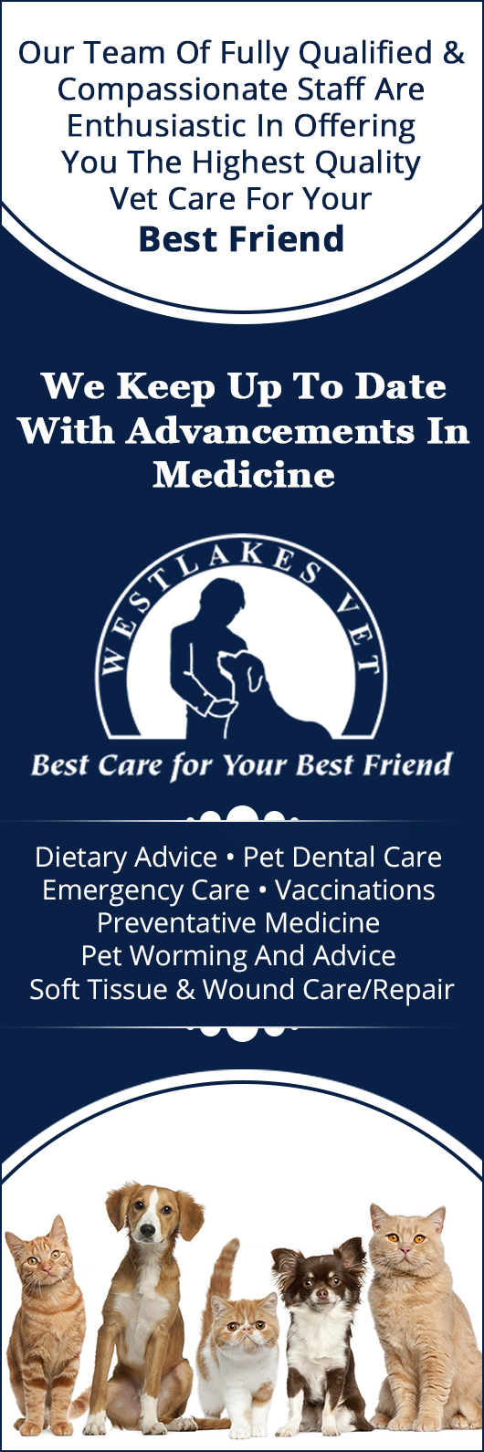 Westlakes Veterinary Hospital - Promotion