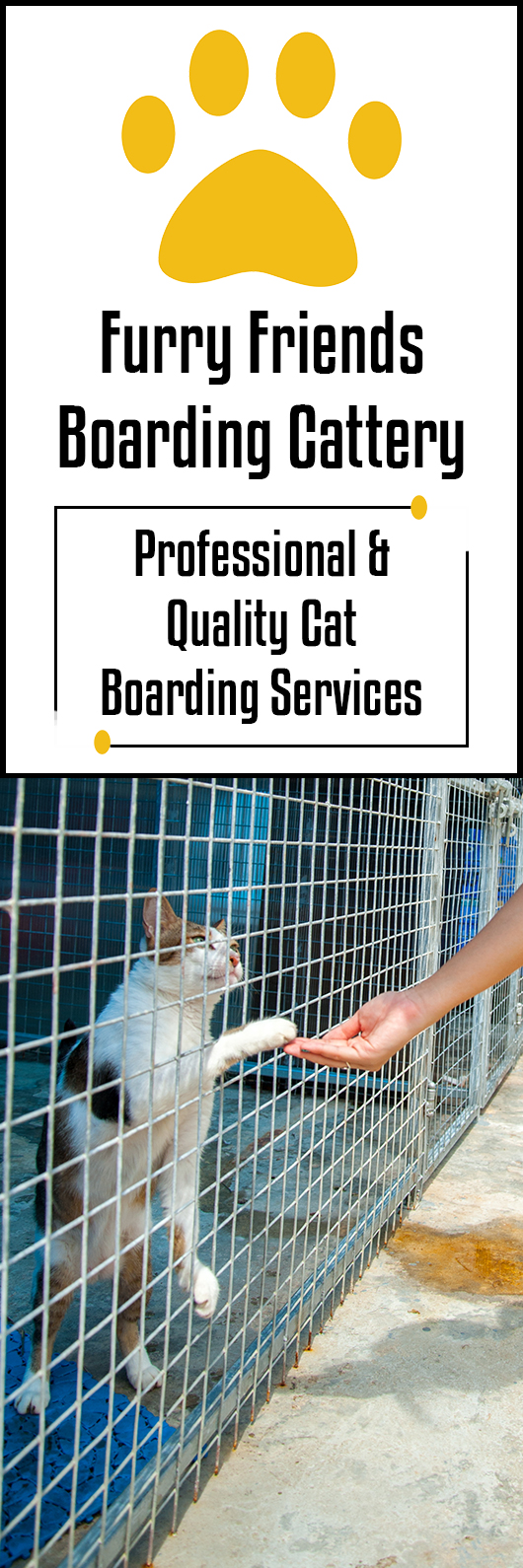 Furry Friends Boarding Cattery Cattery 267 Rd