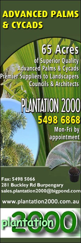 Plantation 2000 - Promotion
