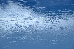 Roof & Gutter Repairs