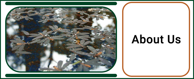 Systems Pest Management Pty Ltd - Promotion 2