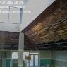 W J & J A Lieshout - Pic 5