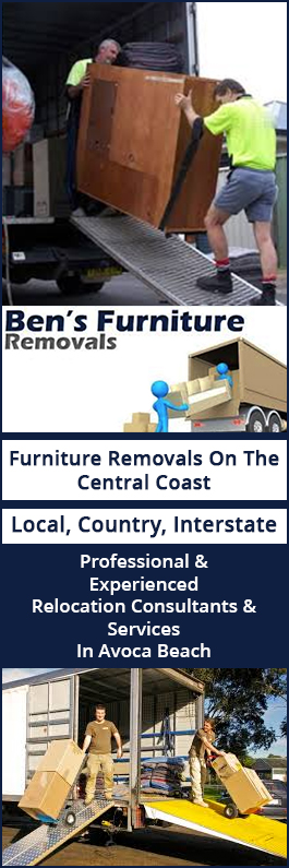 Ben's Furniture Removals - Promotion