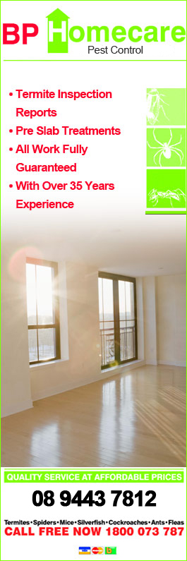 BP Homecare Pest Control - Promotion