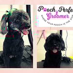 Pooch Perfect Groomer - Pic 3