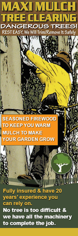 Maxi Mulch Tree Clearing - Promotion