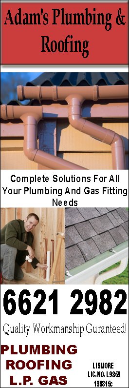 Adam's Plumbing & Roofing - Promotion