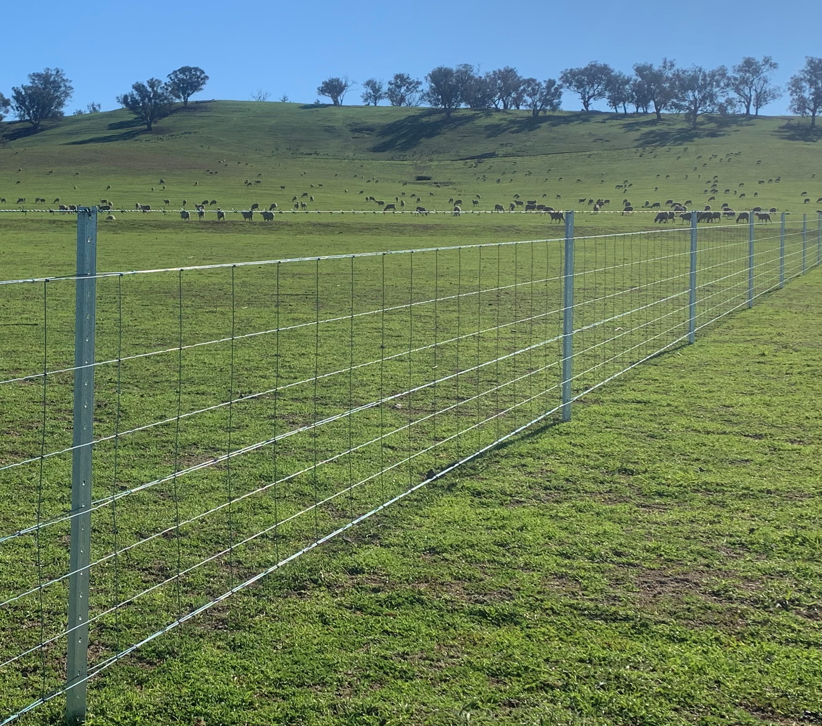AGFence Fencing Contractors Table Top