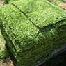 Apollo Landscaping Supplies - Pic 8