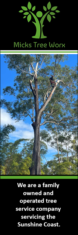 Micks Tree Worx - Promotion