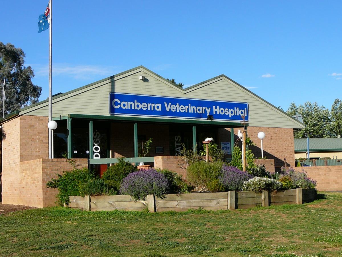 Canberra Veterinary Hospital Vets & Veterinary Surgeons Cnr Barton