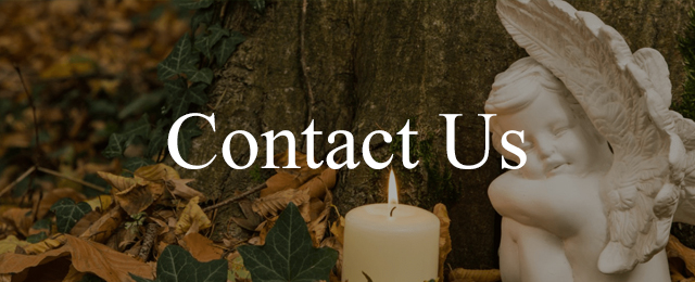 Divinity Cremations Services - Promotion 1