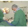Whitehorse Veterinary Hospital - Pic 6
