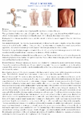 What Is Scoliosis?