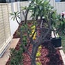 iview Landscapes - Pic 9