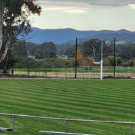 Whitefield Oval