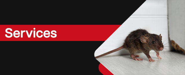 Chambers Pest Solutions - Promotion 3