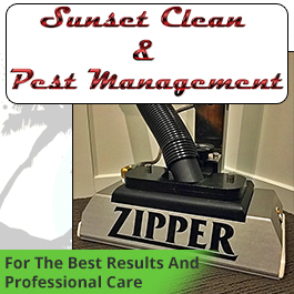 Sunset Clean & Pest Management - Promotion
