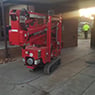MSZ Tree Lopping Service - Pic 8
