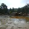 Dindi Sawmills Pty Ltd - Pic 4
