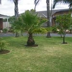 Brimbank Mowing & Gardening - Pic 4