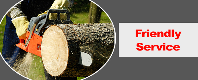 Dave's Tree Lopping & All Green Waste Removals - Promotion 3