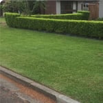 Oasis Lawns & Gardens - Pic 1