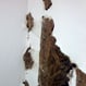 Termite Infestation