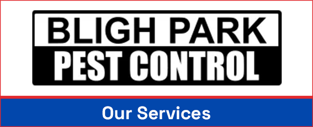 Bligh Park Pest Control - Promotion 3