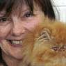 Canterbury Tails Boutique Boarding Cattery - Pic 1