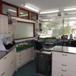 Professional, modern and clean laboratory on site. All denture work is carried out on the premises.