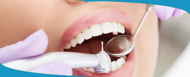 Devonport Dental Care - Promotion 1