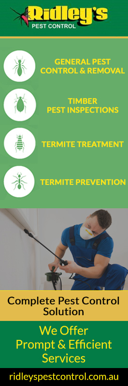 Ridley's Pest Control - Promotion