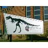 Bathurst Signs & Screen Printing - Pic 7