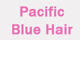 Pacific Blue Hair - logo