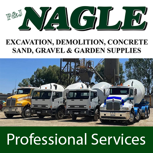 Nagle Peter - Promotion
