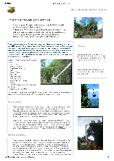 Tree Arrangements