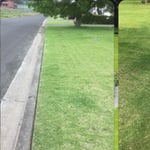 Oasis Lawns & Gardens - Pic 3
