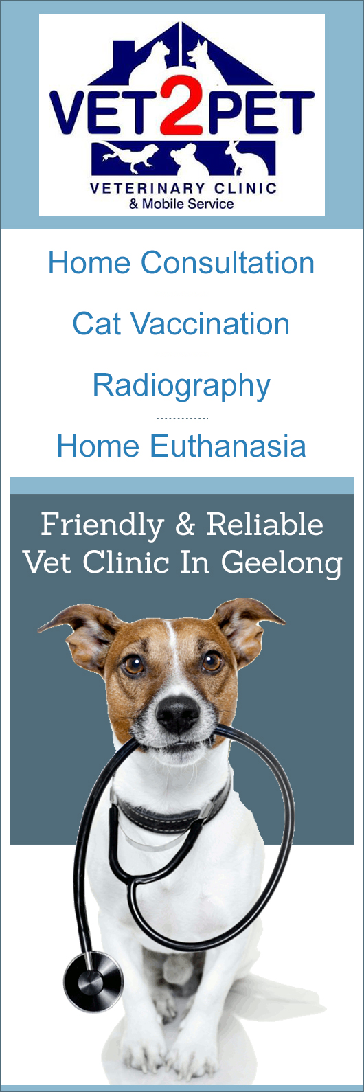 vets for pets opening times