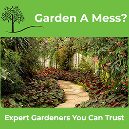 Garden A Mess - Promotion